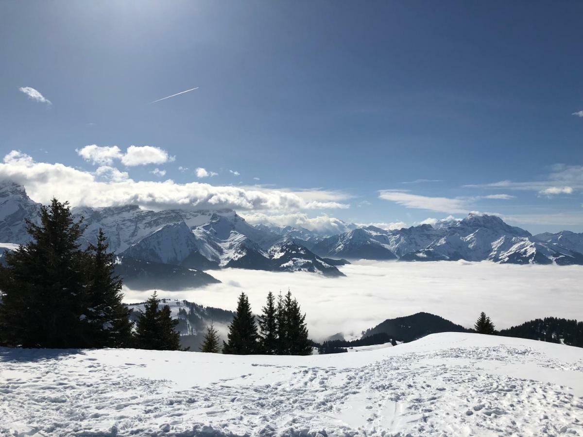Chalet Rouge Coeur Bex Kültér fotó