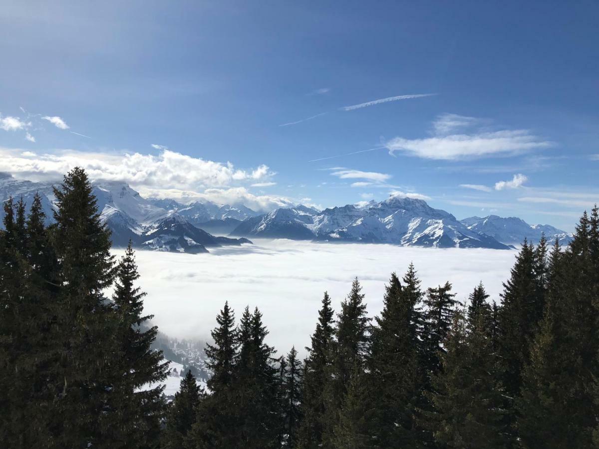 Chalet Rouge Coeur Bex Kültér fotó